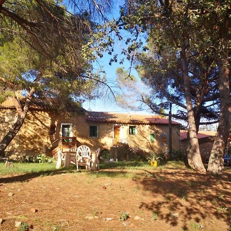 Passa Maison Entiere Hameau Monastir Del Camp מראה חיצוני תמונה